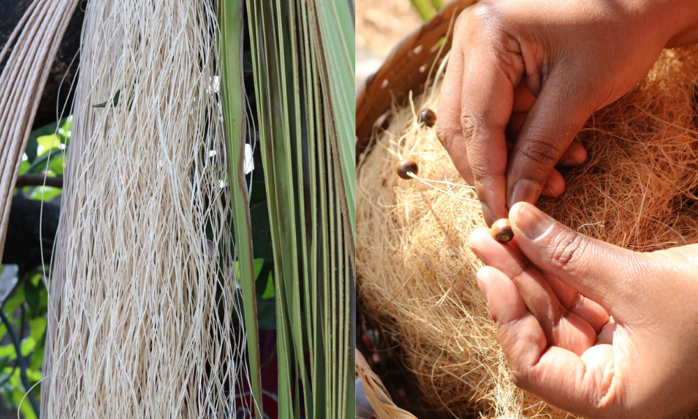 Fibras naturales de burití recolectadas y trabajadas a mano por artesanas brasileñas para crear joyas sostenibles de Purplêe Store
