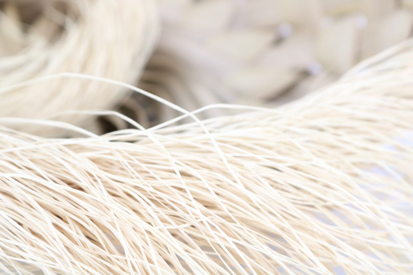 Hilos naturales de palha de burití – materia prima sostenible utilizada en joyas artesanales