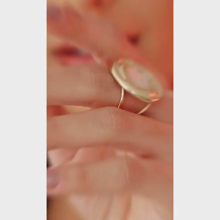 ICON Nautilus Shell Ring Purplee Store_VIDEO