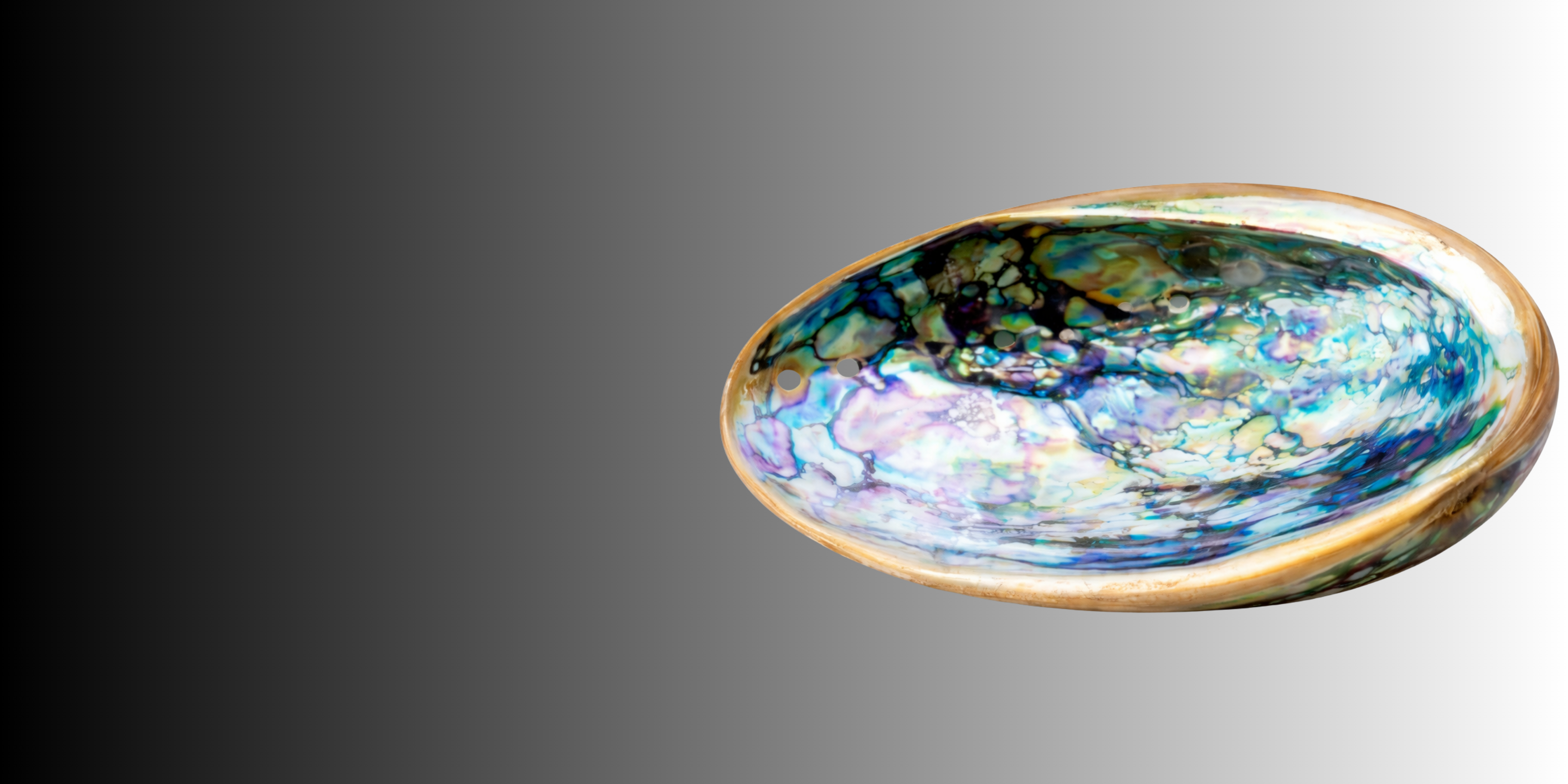 Abalone Shell genuine stone | Purplee Store