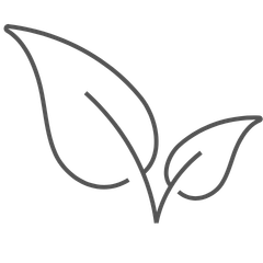 Simple line drawing of two leaves on a white background
