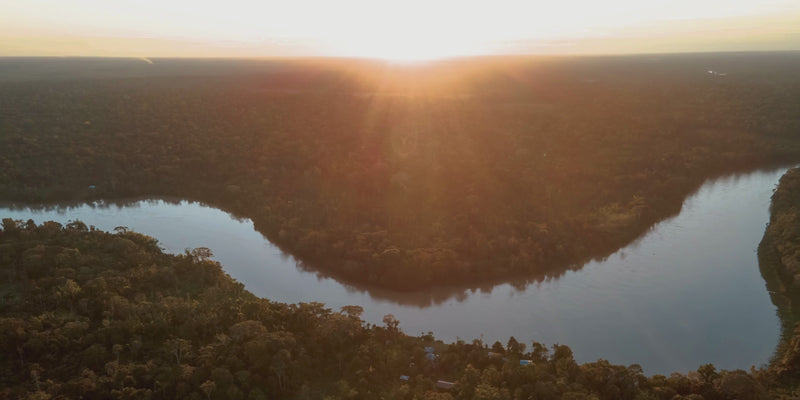 Cinematic sunset view of the Amazon river, the sustainable source of Buriti fiber for  Purplee Store